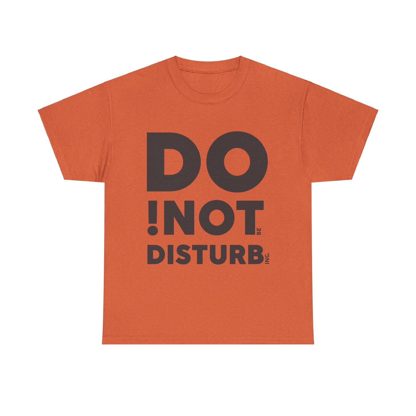 DO !NOT DISTURB (maybe)