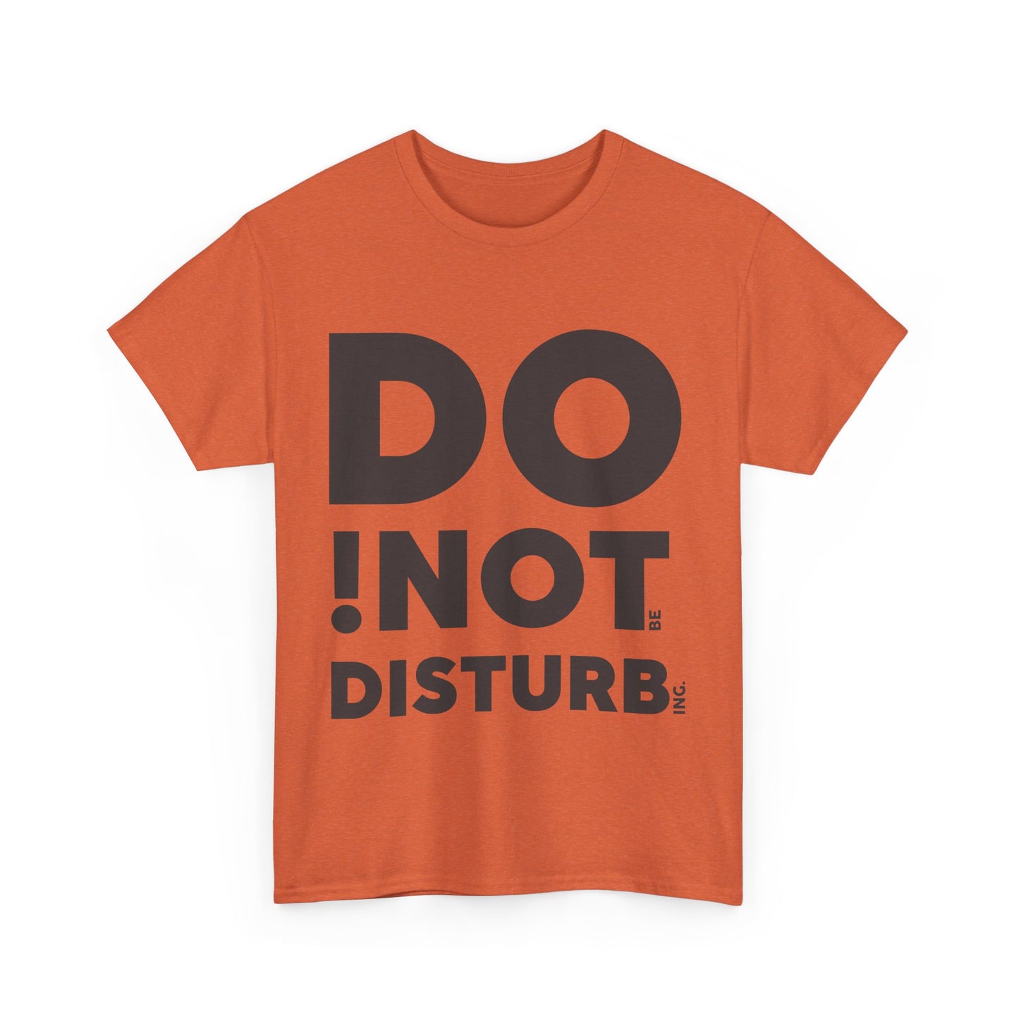 DO !NOT DISTURB (maybe)